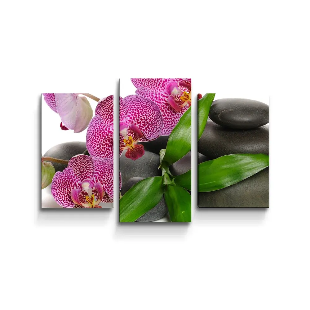 Obraz - 3-dílný Orchideje a kameny - 75x50 cm