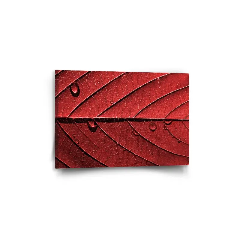 Obraz Červený list - 60x40 cm