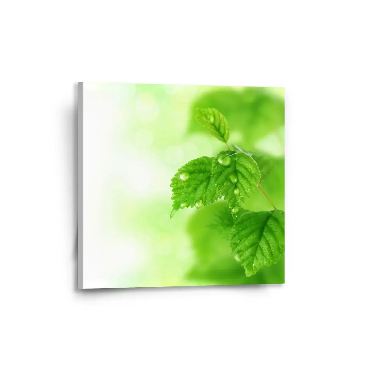Obraz Listy 3 - 50x50 cm