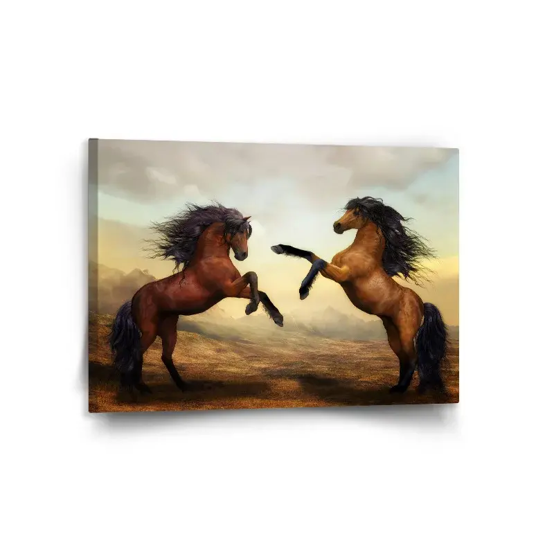 Obraz Vzpínající se koně - 120x80 cm