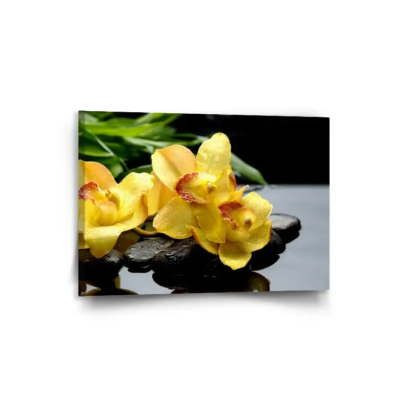 Obraz Žluté orchideje - 90x60 cm