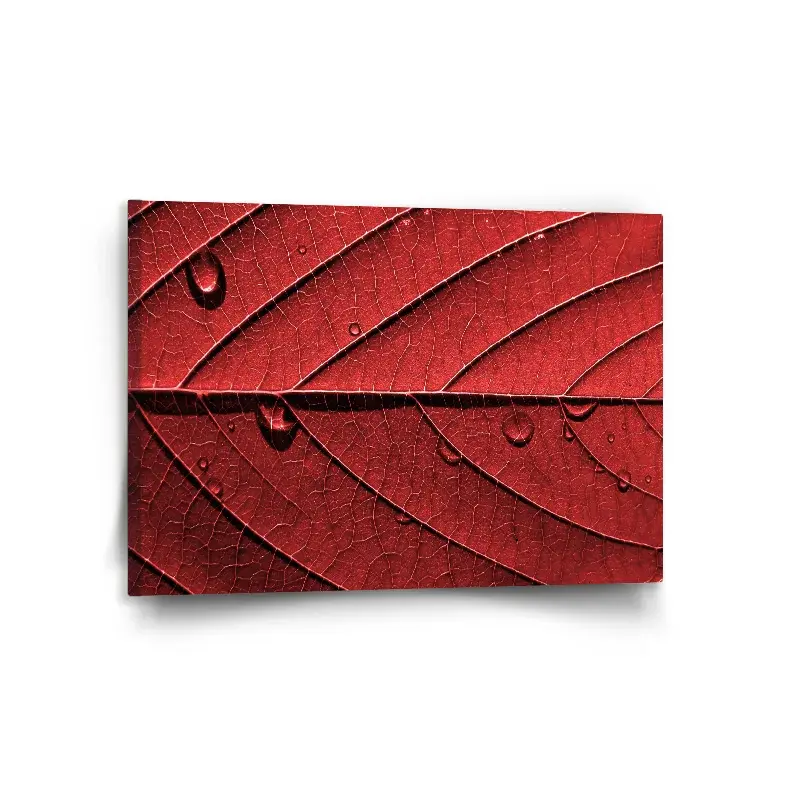 Obraz Červený list - 120x80 cm