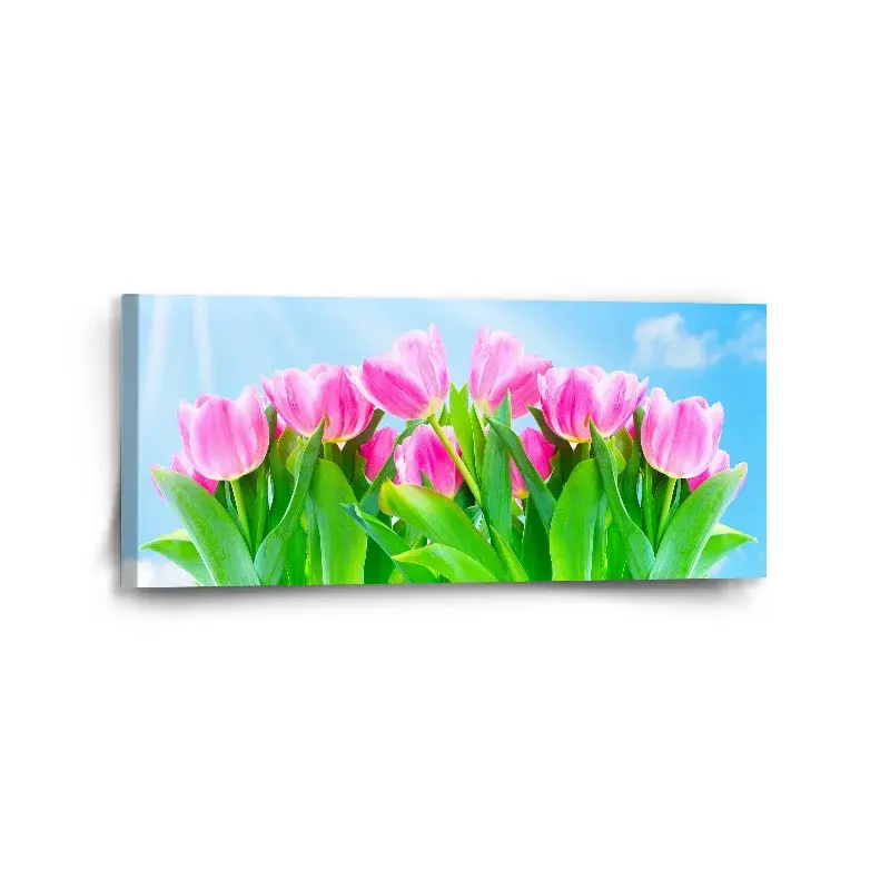Obraz Růžové tulipány - 110x50 cm