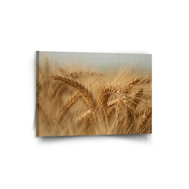 Obraz Klasy 2 - 90x60 cm