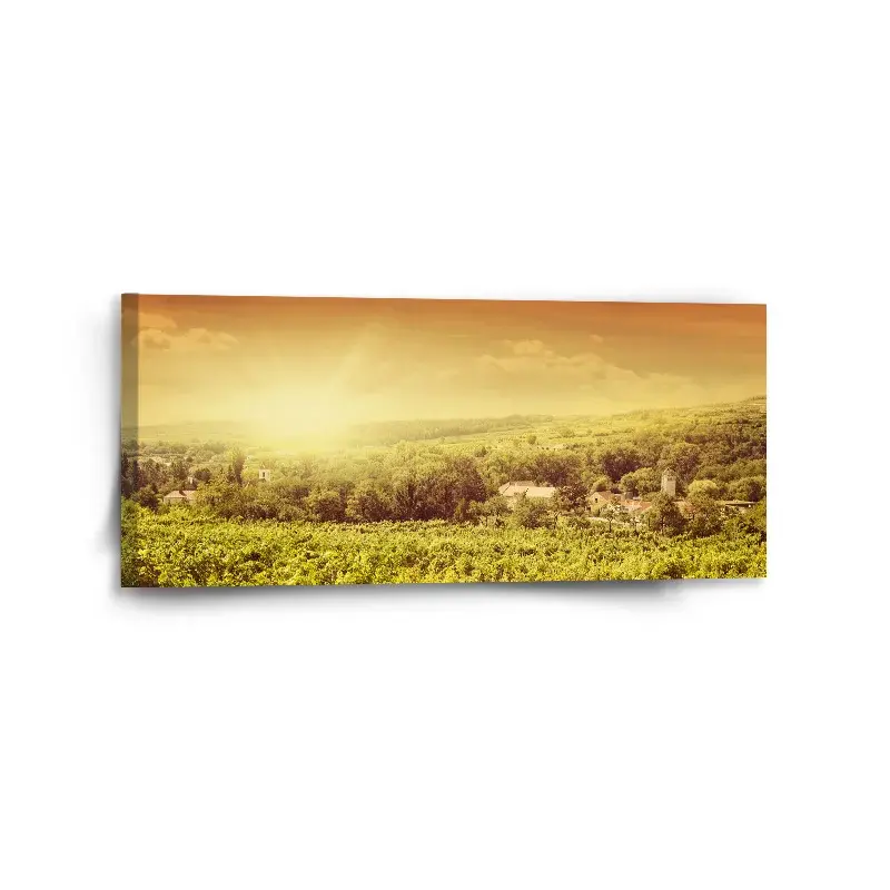 Obraz Vinice - 110x50 cm