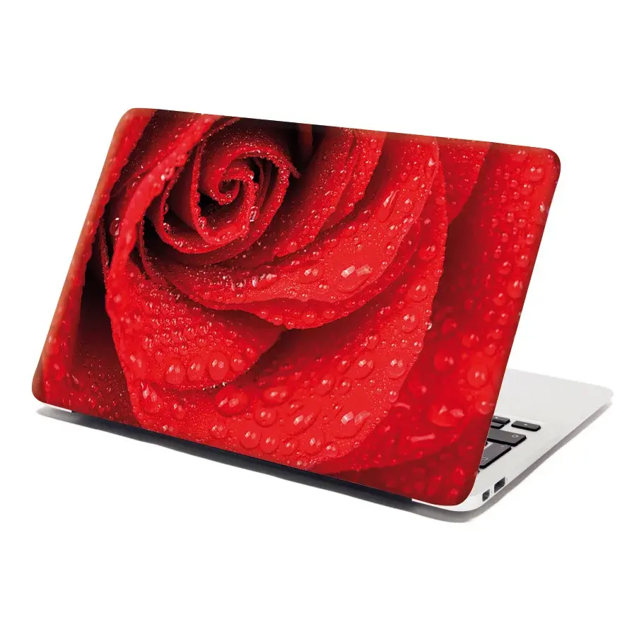 Samolepka na notebook Květ růže - 38x26 cm