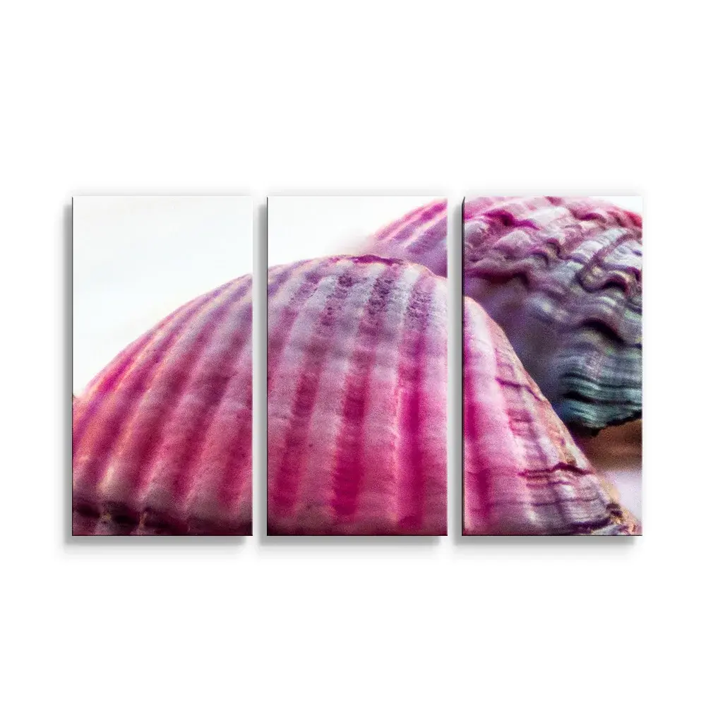 Obraz - 3-dílný Mušličky - 120x80 cm