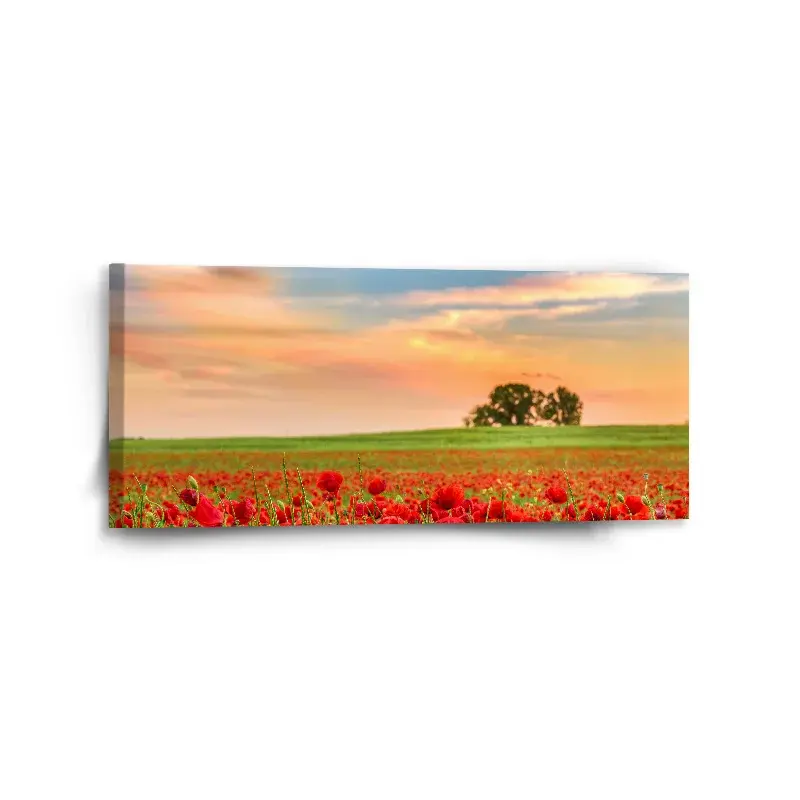 Obraz Pole vlčích máků 2 - 110x50 cm