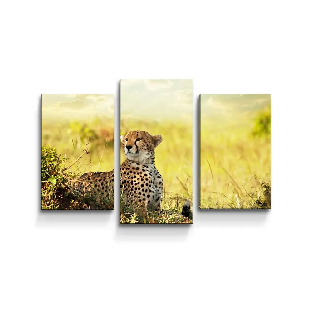 Obraz - 3-dílný Gepard - 75x50 cm