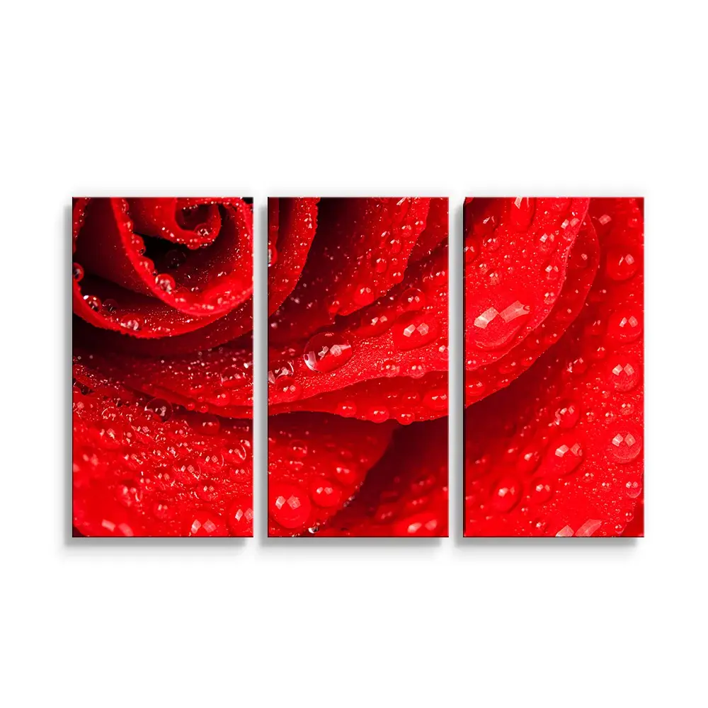 Obraz - 3-dílný Květ růže - 120x80 cm