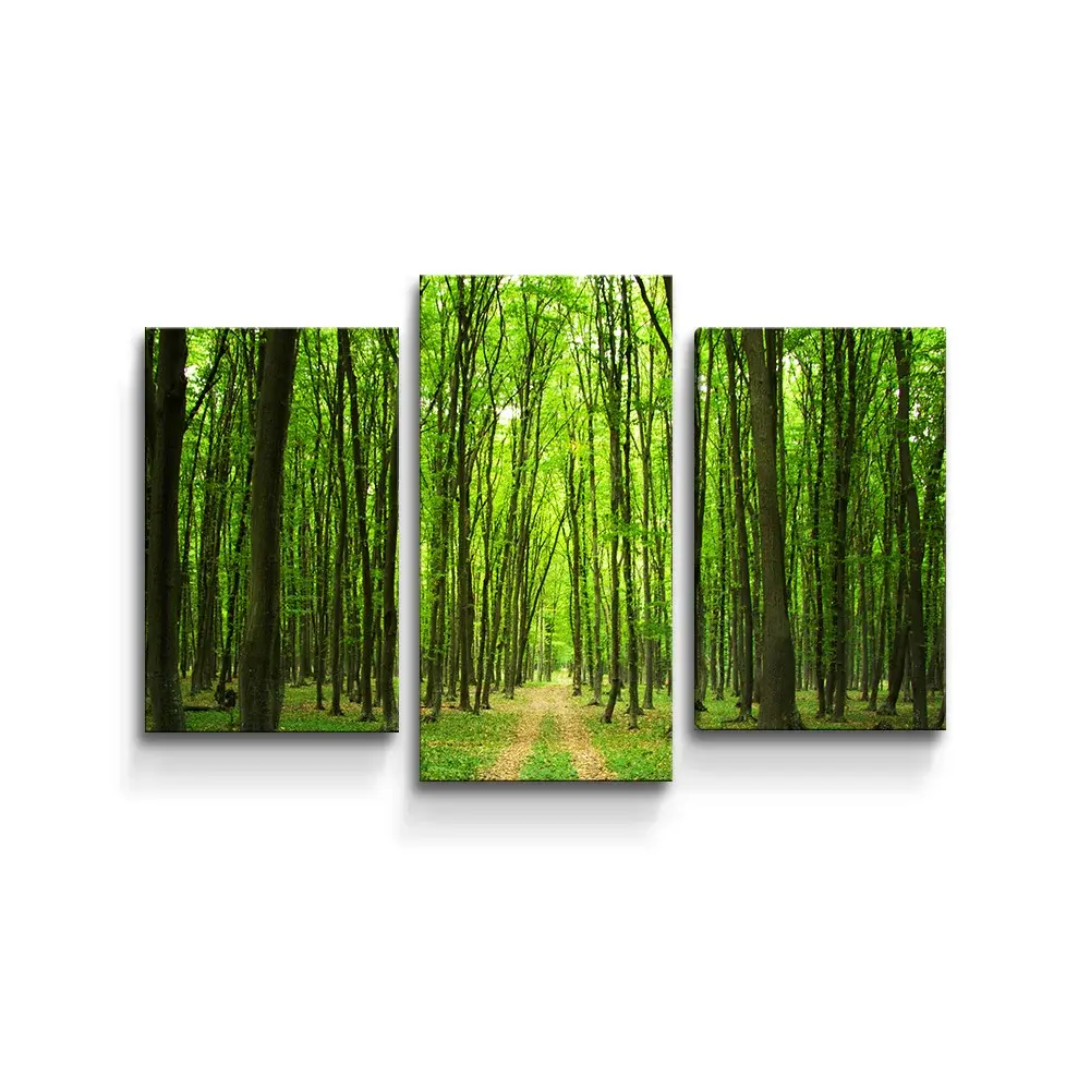 Obraz - 3-dílný Cesta v lese - 75x50 cm