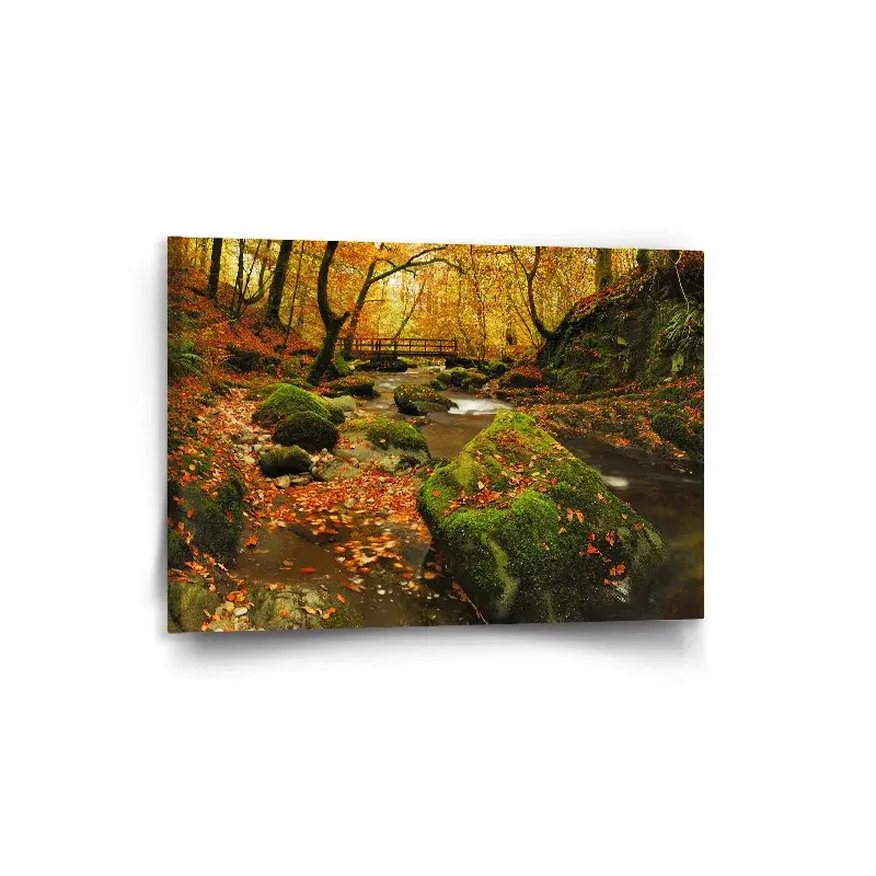Obraz Most v lese - 90x60 cm