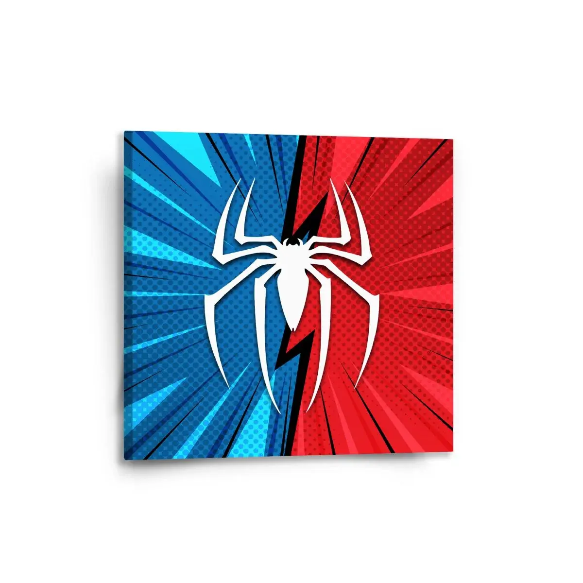 Obraz Spider - 50x50 cm