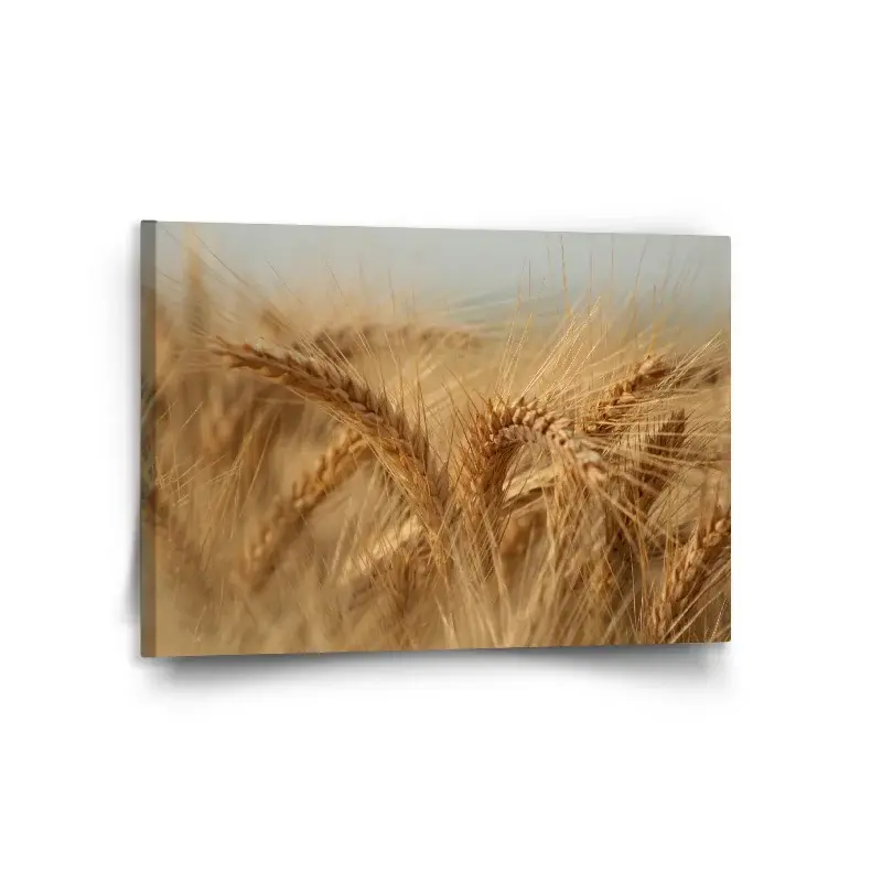 Obraz Klasy 2 - 120x80 cm