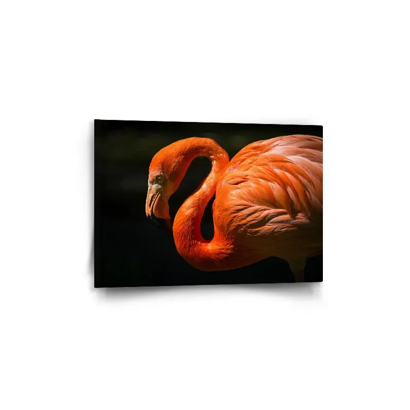 Obraz Plameňák - 60x40 cm