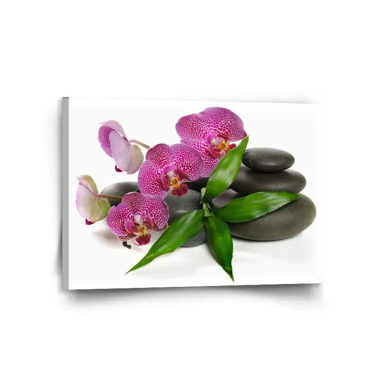 Obraz Orchideje a kameny - 120x80 cm