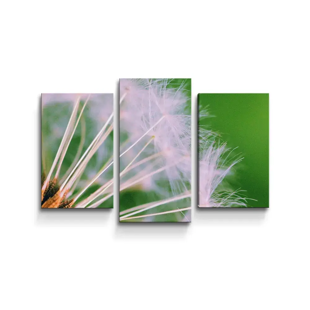Obraz - 3-dílný Odkvetlé pampelišky 3 - 75x50 cm