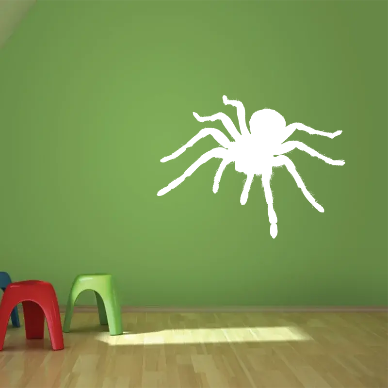 Samolepka na zeď: Pavouk - 70x50 cm