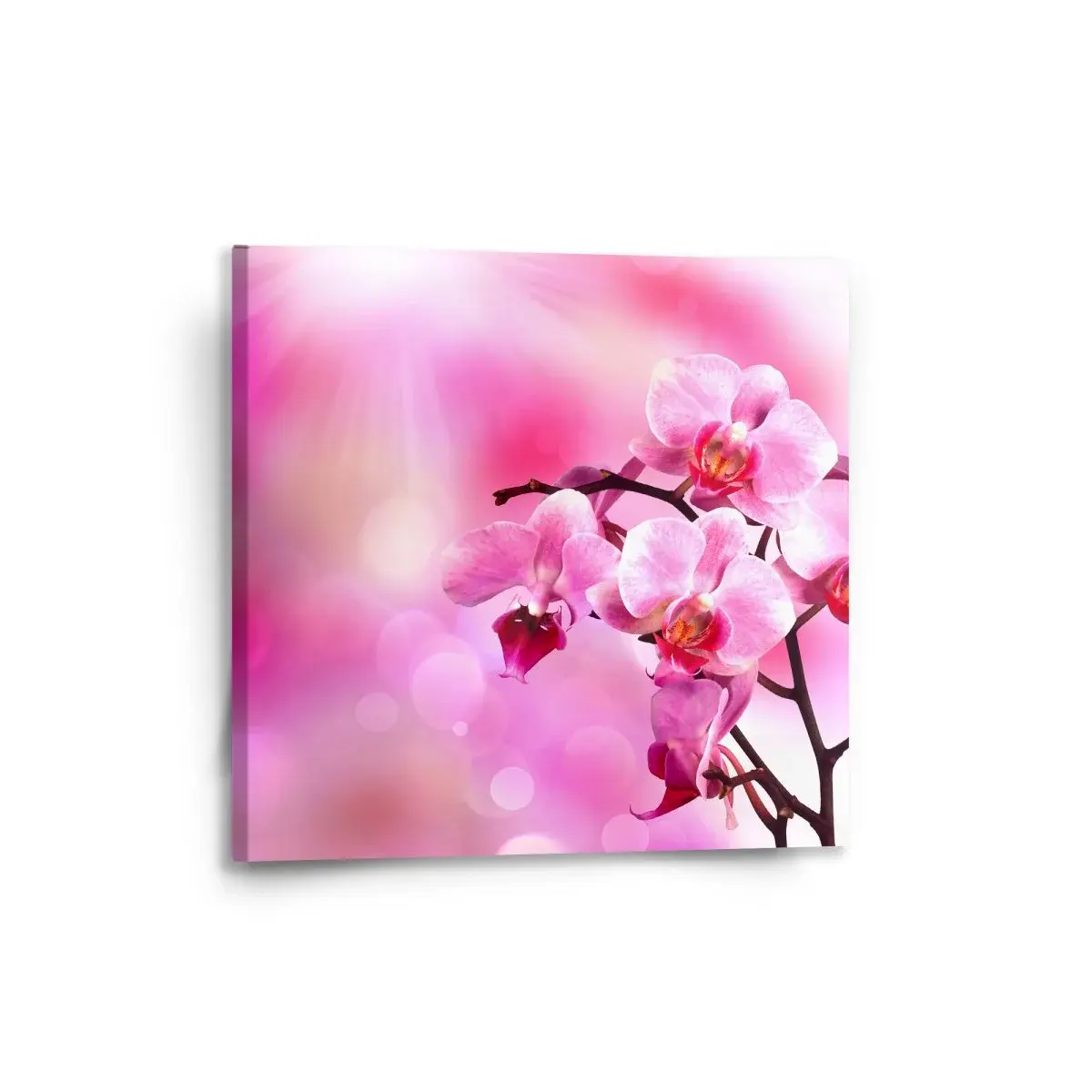 Obraz Květy orchideje - 50x50 cm