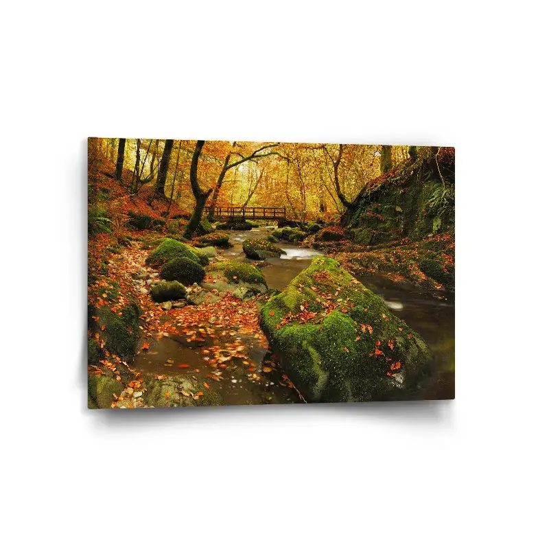 Obraz Most v lese - 120x80 cm