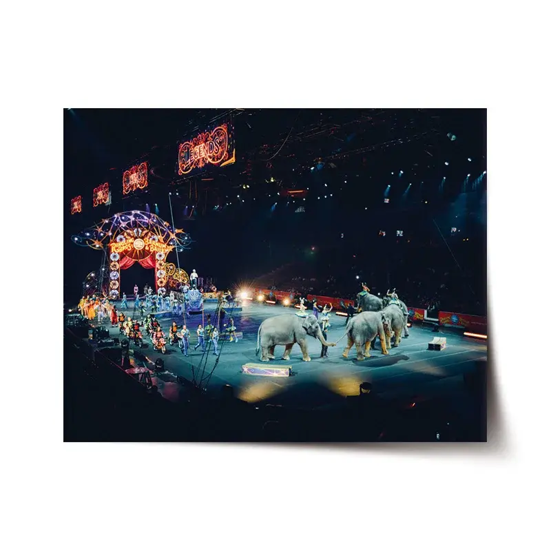 Plakát Cirkus - 60x40 cm