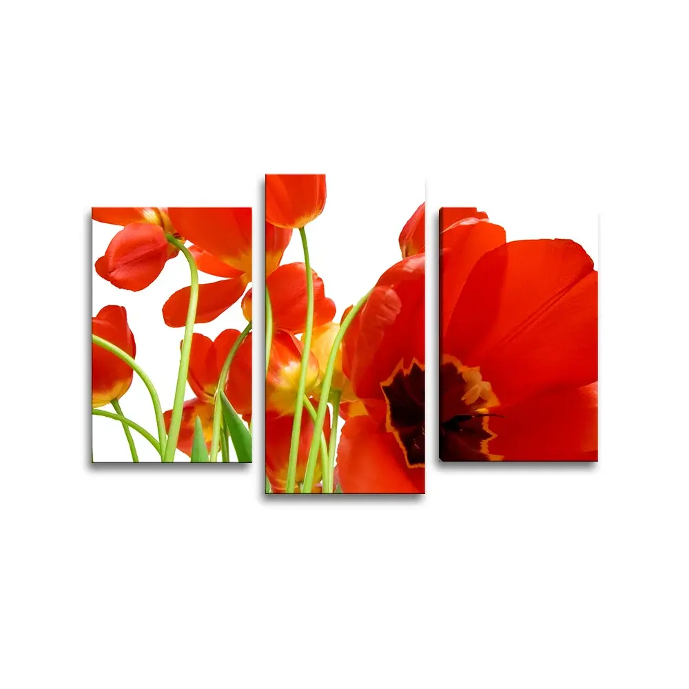 Obraz - 3-dílný Tulipány - 75x50 cm