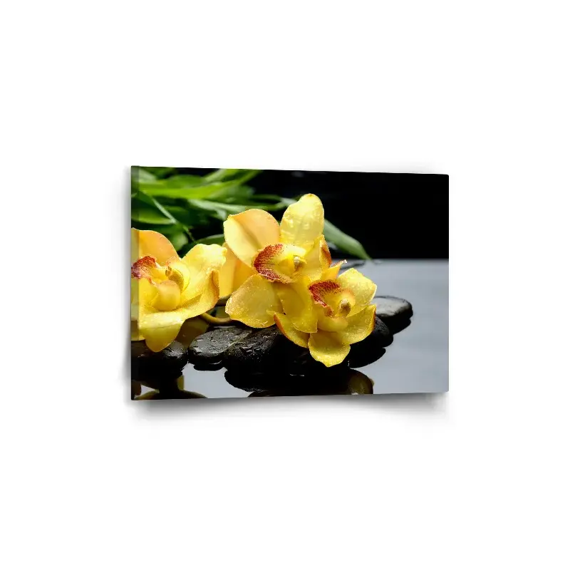 Obraz Žluté orchideje - 60x40 cm