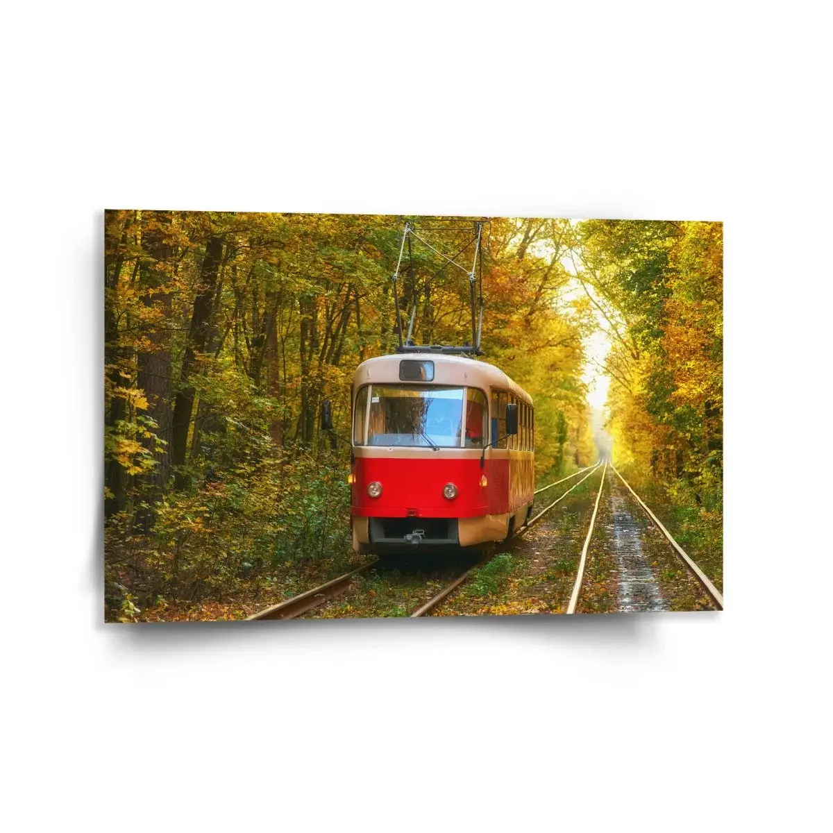 Obraz Červená tramvaj v lese - 120x80 cm