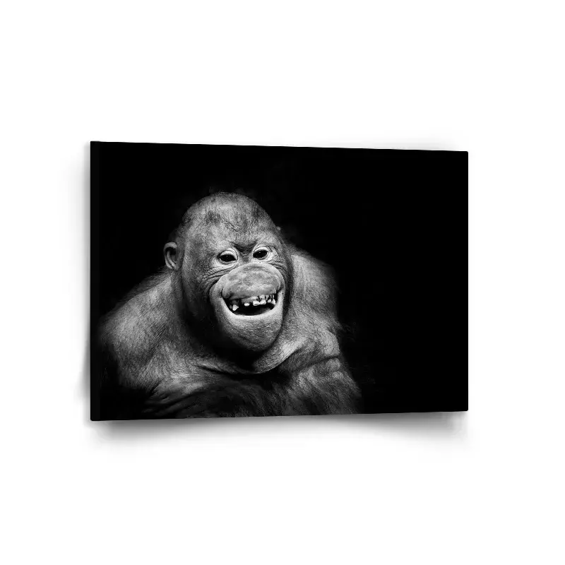 Obraz Orangutan - 120x80 cm