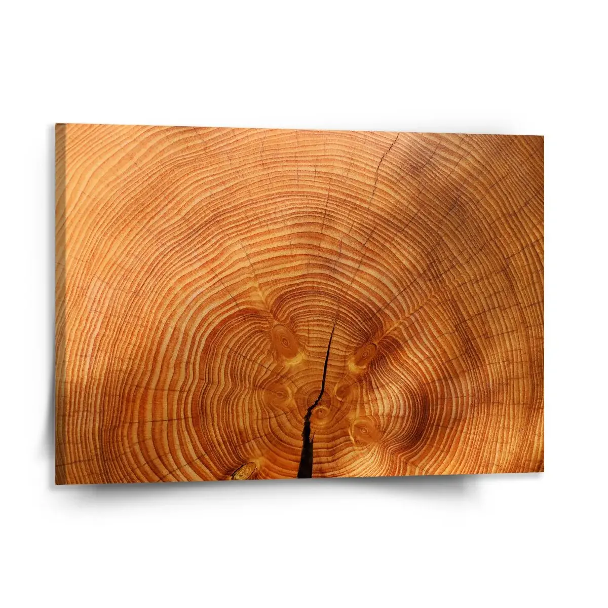 Obraz Dřevo 2 - 150x110 cm