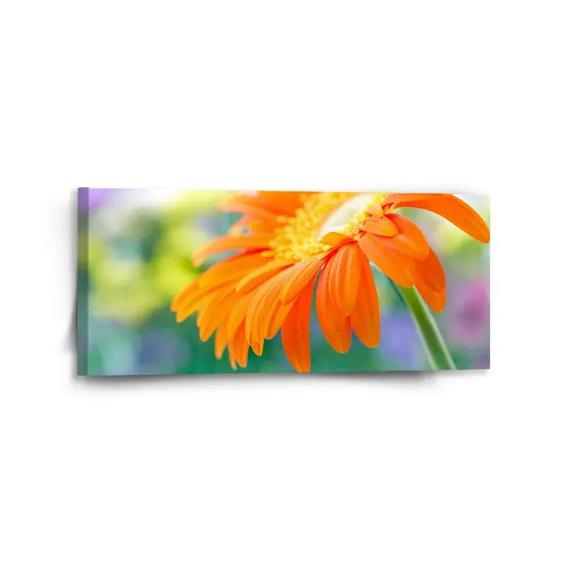 Obraz Oranžová gerbera - 110x50 cm