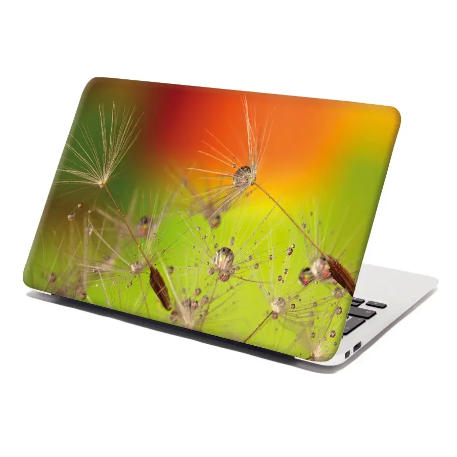 Samolepka na notebook Odkvetlé pampelišky - 29x20 cm