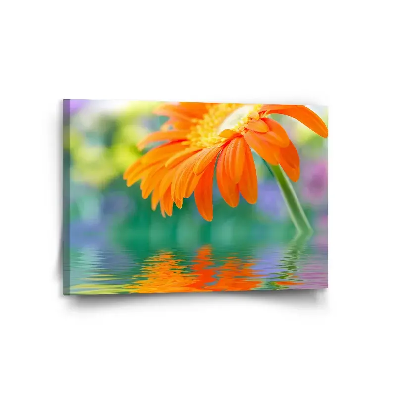 Obraz Oranžová gerbera - 120x80 cm