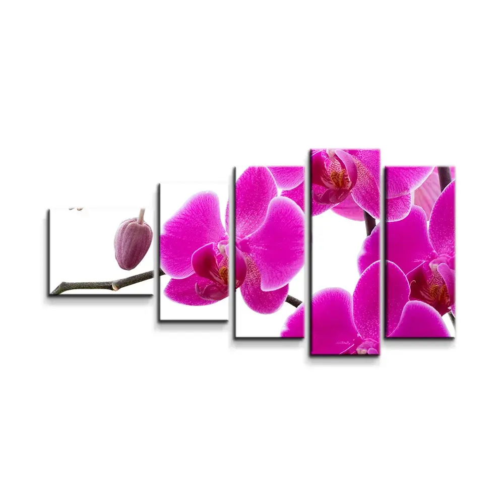 Obraz - 5-dílný Fialové orchideje - 100x60 cm