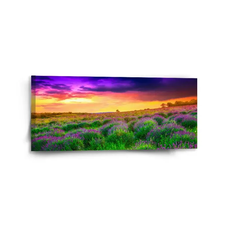 Obraz Levandulové pole - 110x50 cm