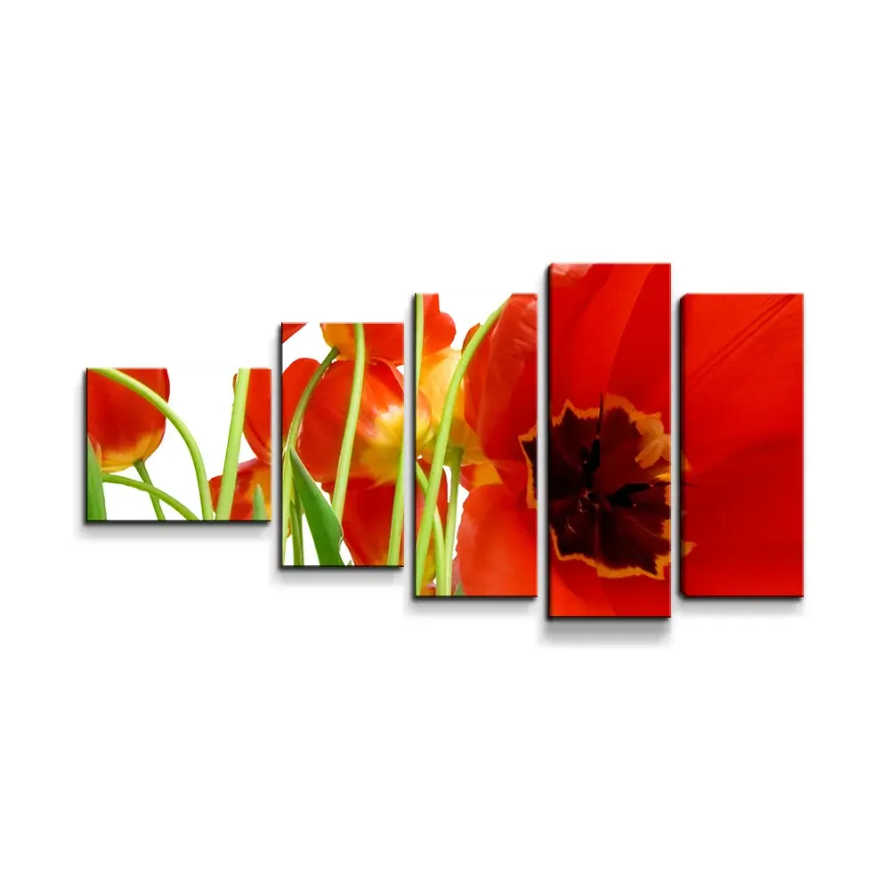 Obraz - 5-dílný Tulipány - 100x60 cm