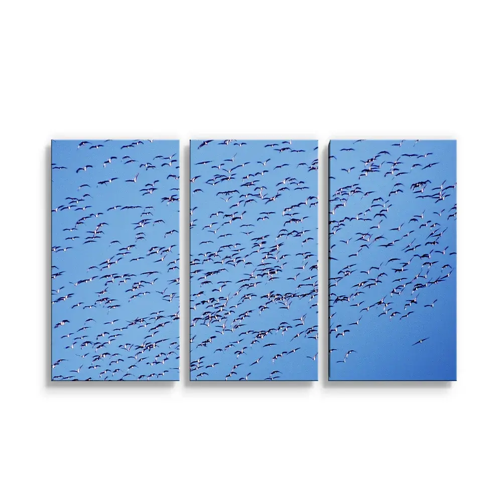 Obraz - 3-dílný Hejno ptáků - 120x80 cm