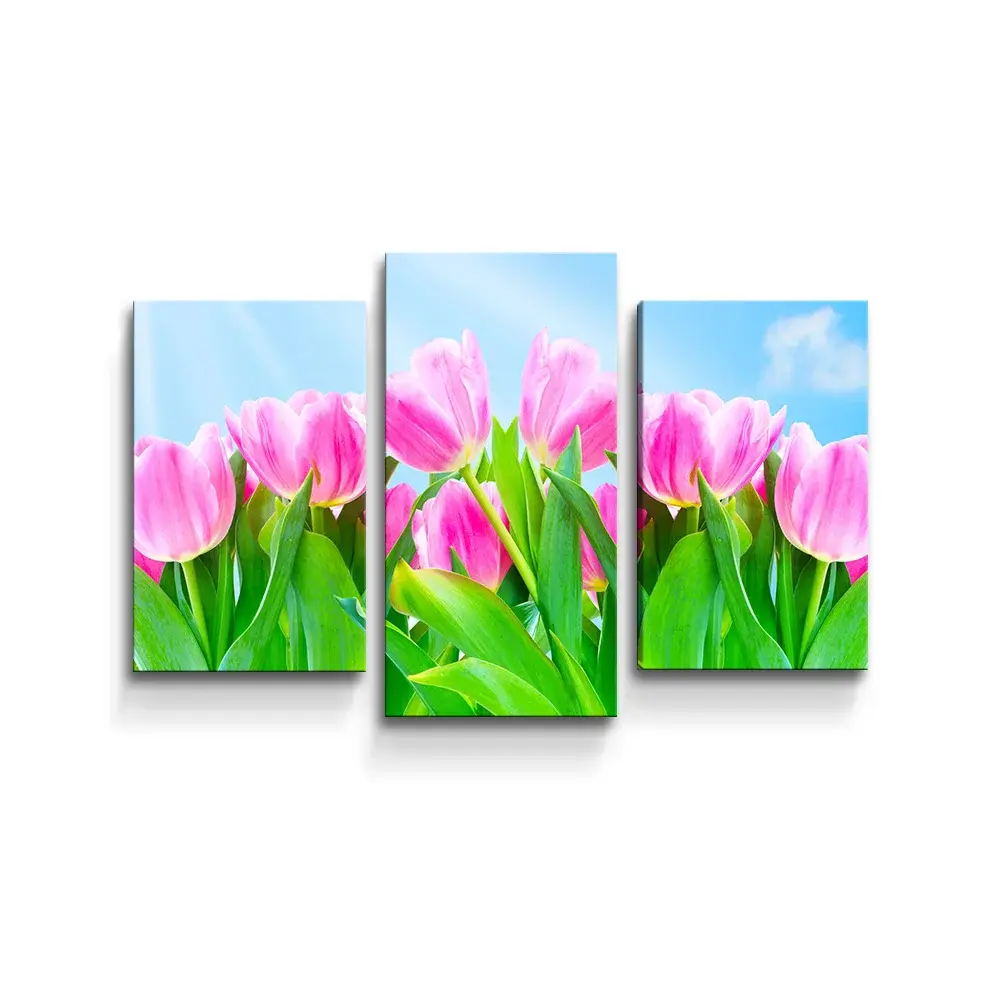 Obraz - 3-dílný Růžové tulipány - 75x50 cm