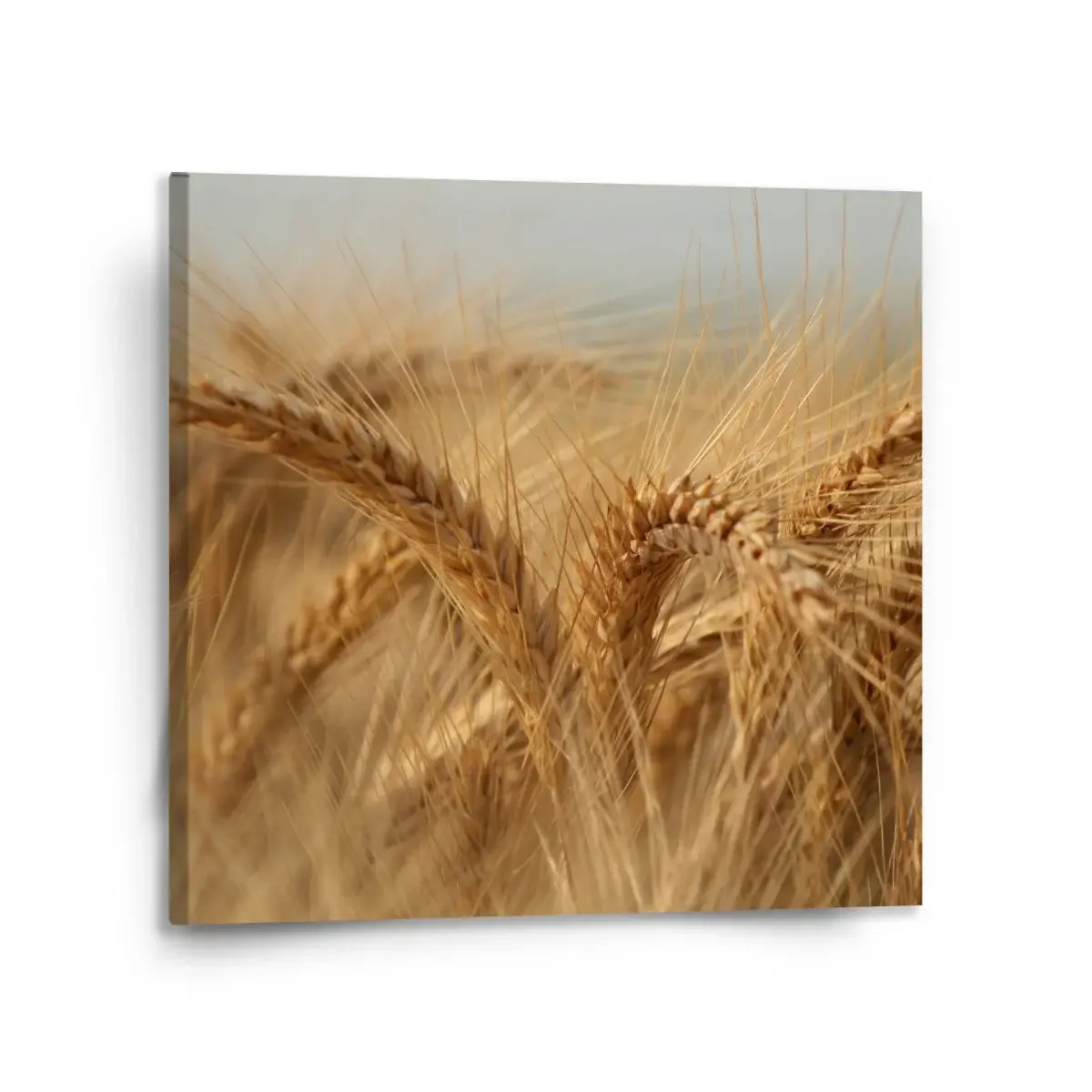 Obraz Klasy 2 - 110x110 cm