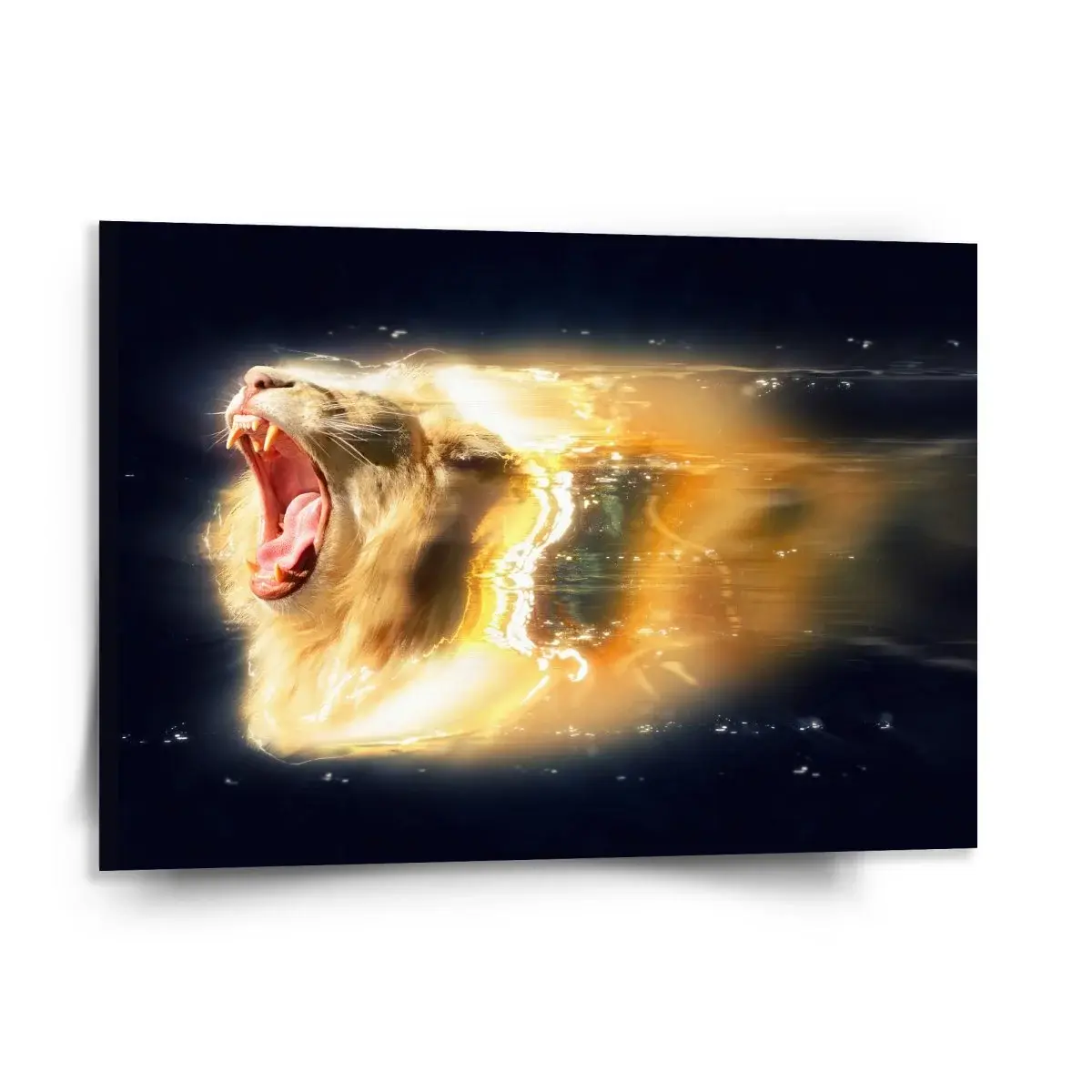 Obraz Lev art - 150x110 cm