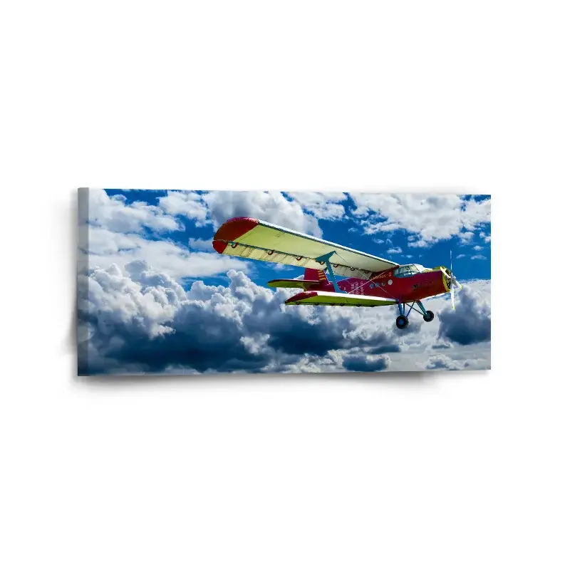 Obraz Letoun - 110x50 cm
