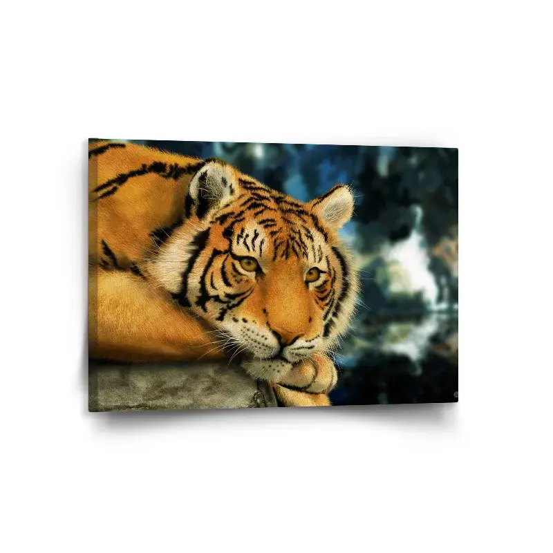 Obraz Tygr - 120x80 cm