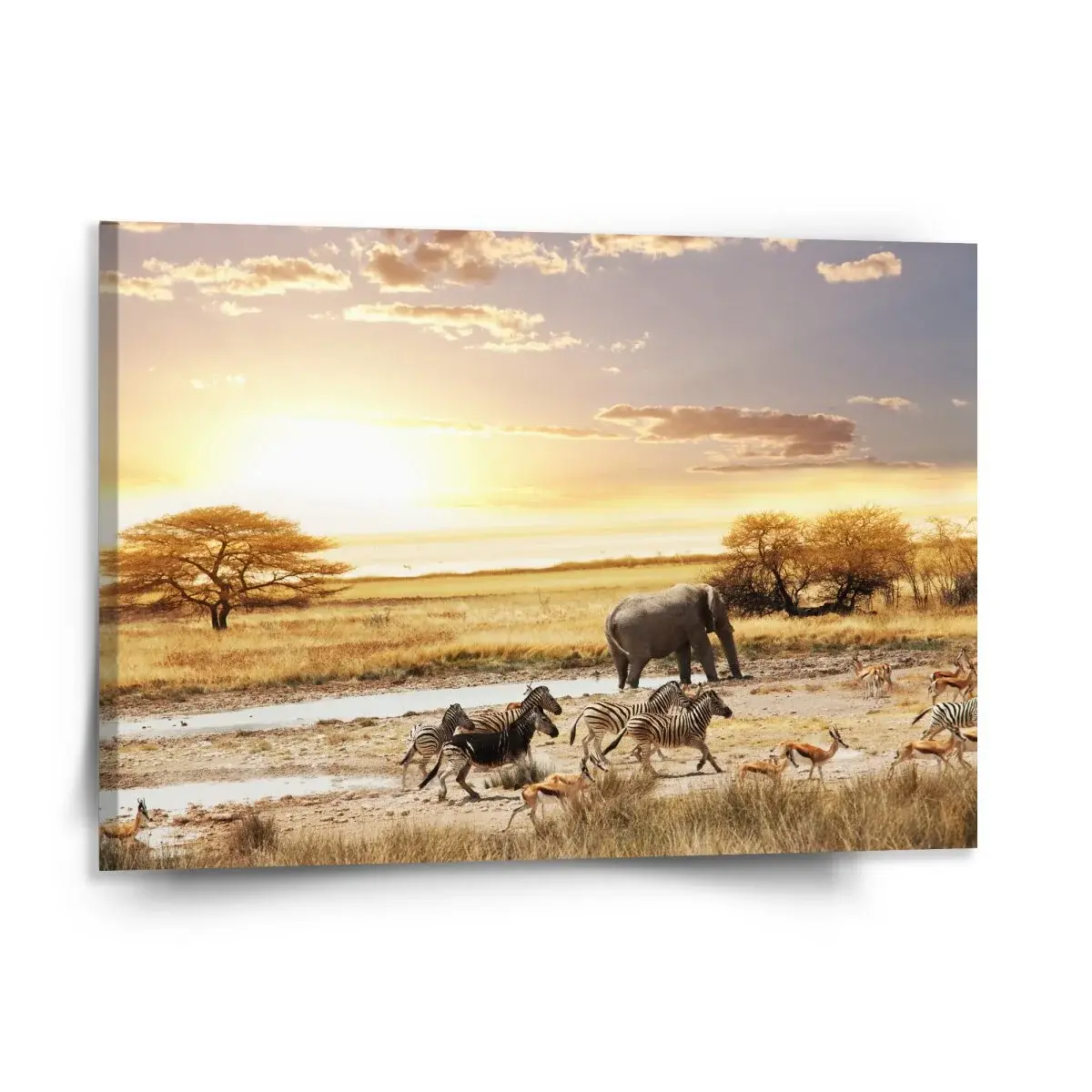 Obraz Safari - 150x110 cm
