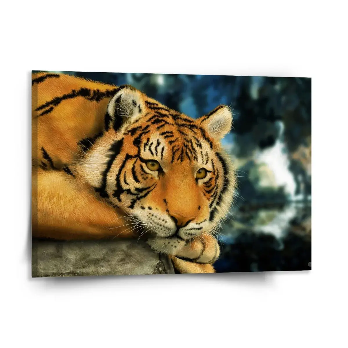 Obraz Tygr - 150x110 cm