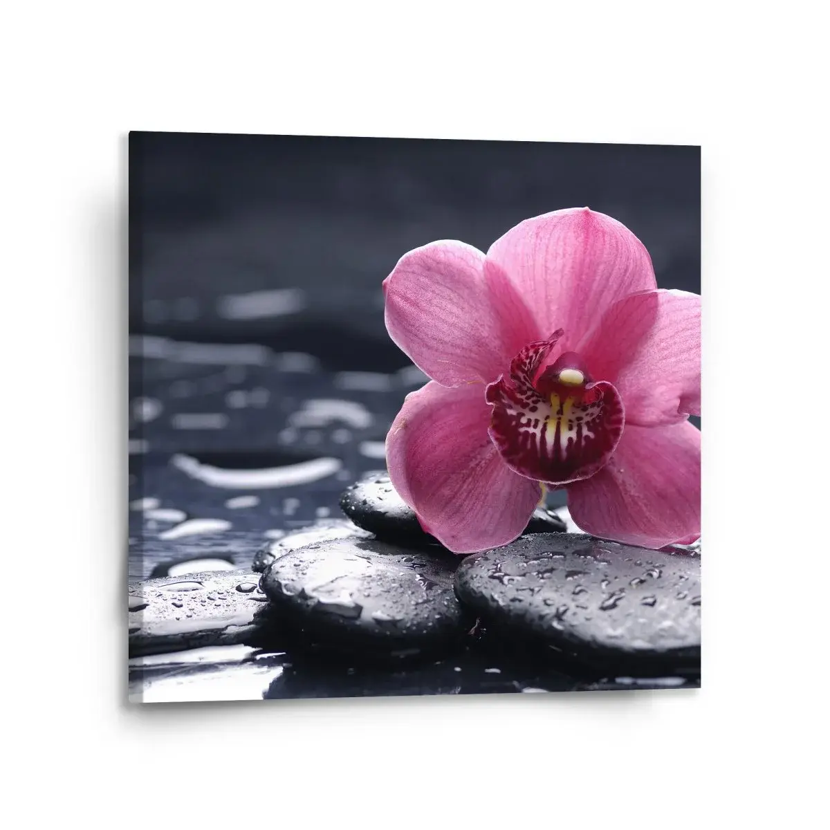 Obraz Orchidej - 110x110 cm