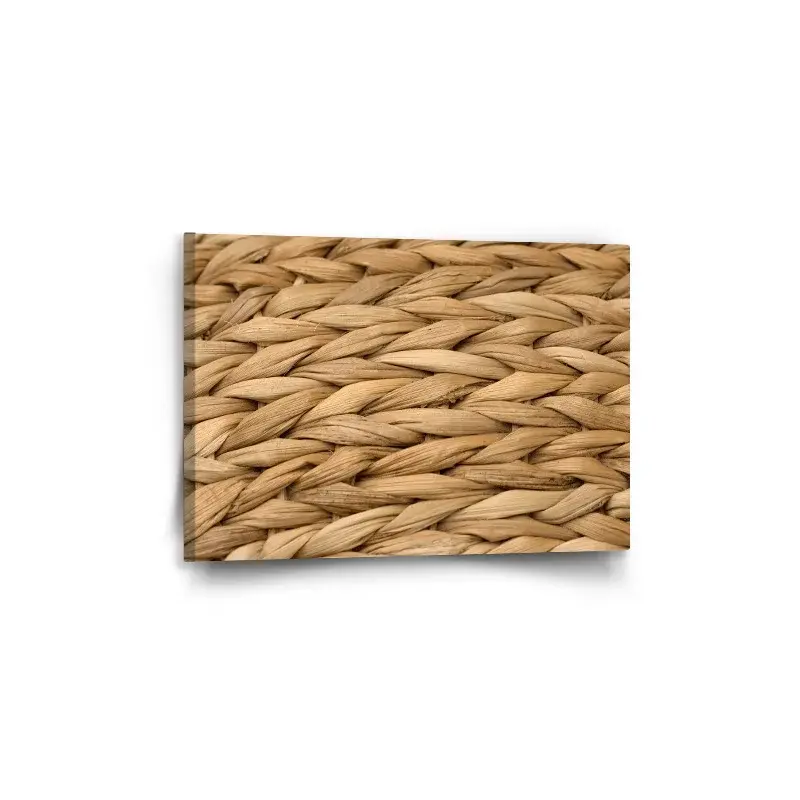 Obraz Banánové listí 2 - 60x40 cm