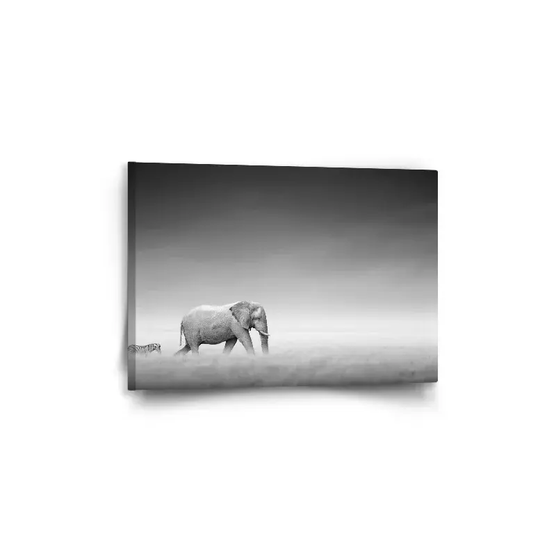 Obraz Slon a zebra - 60x40 cm