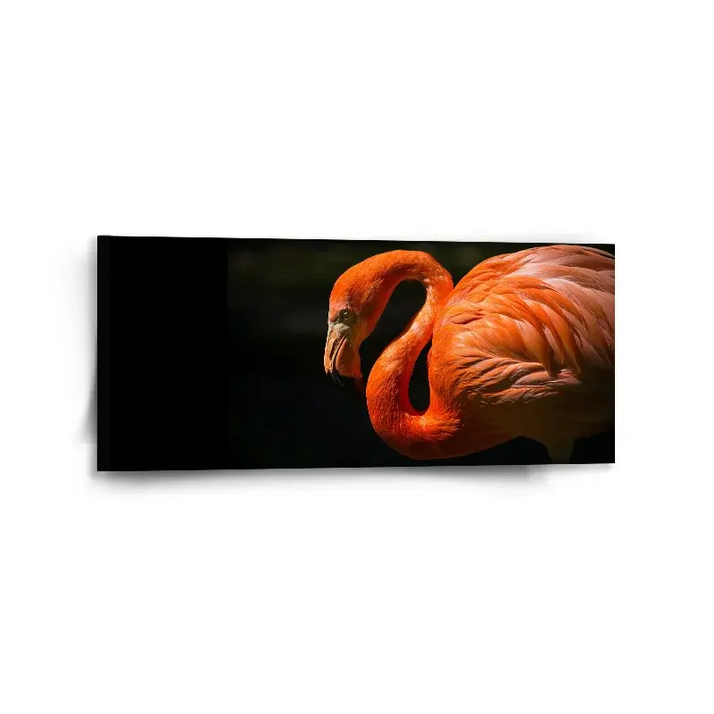 Obraz Plameňák - 110x50 cm