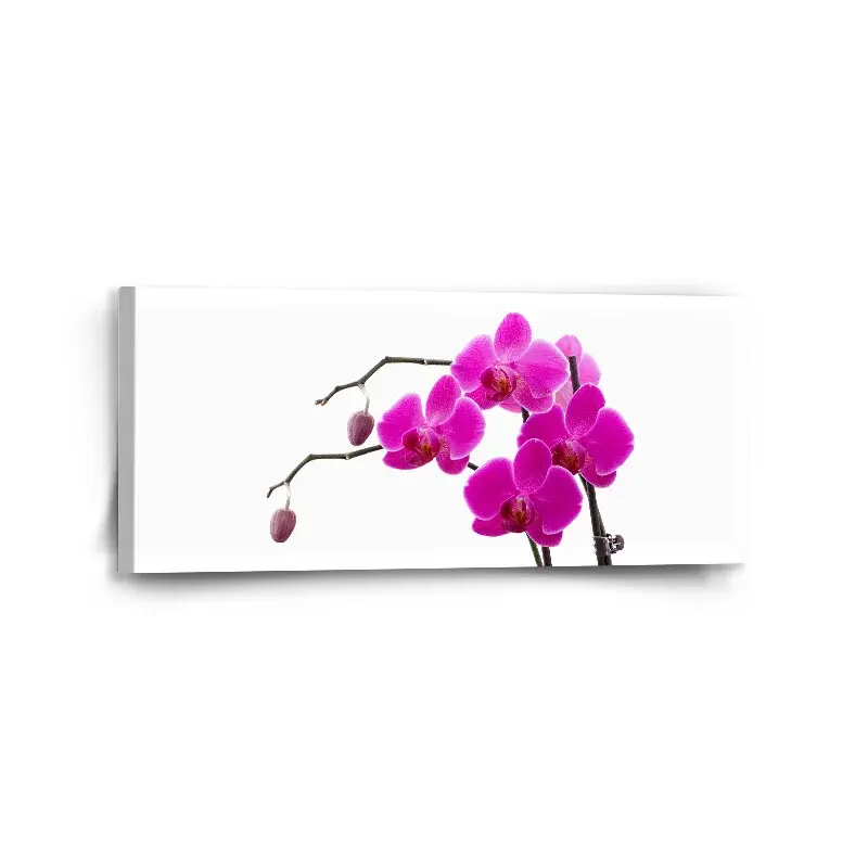 Obraz Fialové orchideje - 110x50 cm