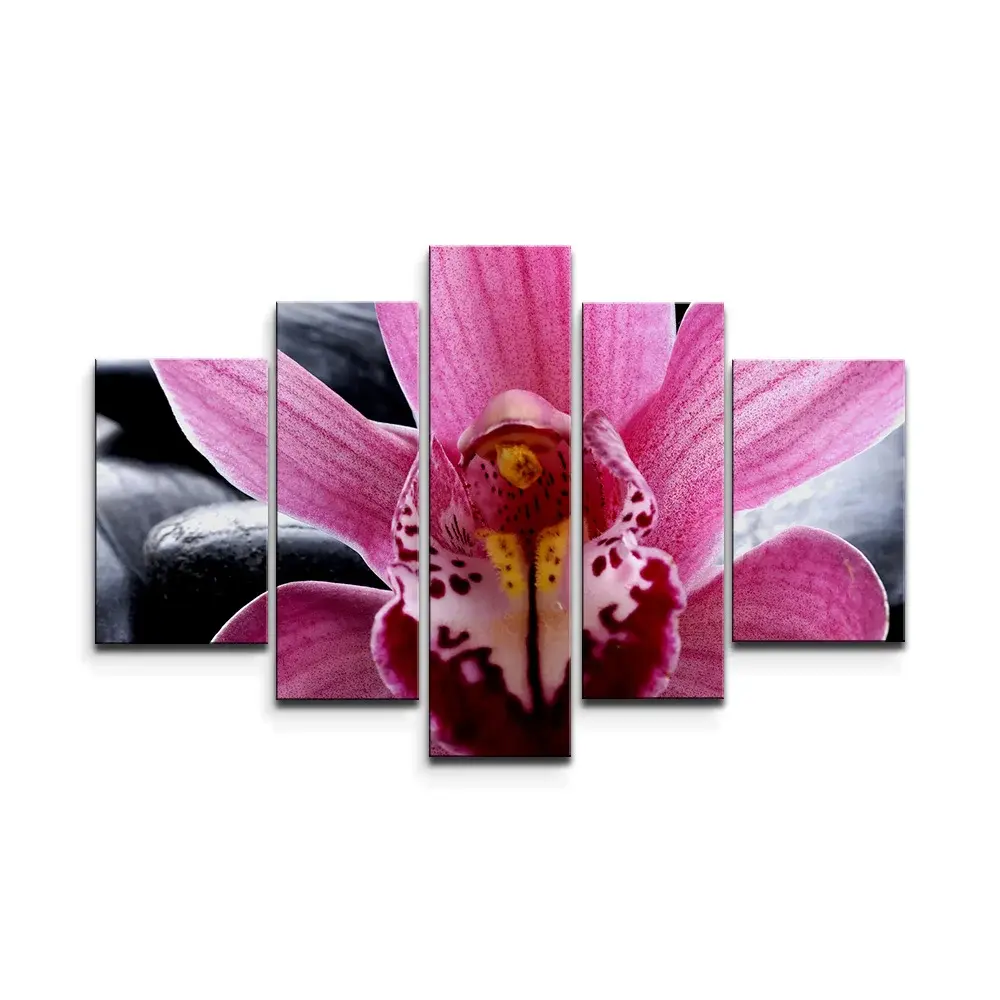 Obraz - 5-dílný Růžová orchidea - 125x90 cm